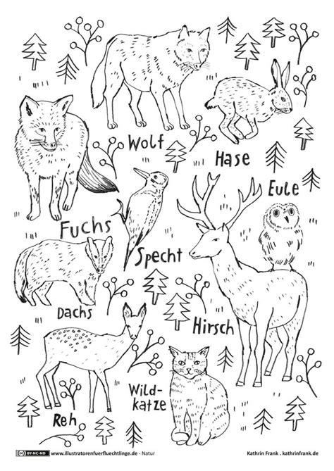 Hier haben wir eine vielzahl von schönen wäldern zur auswahl. Waldtiere | Waldtiere, Ausmalbild, Schulideen