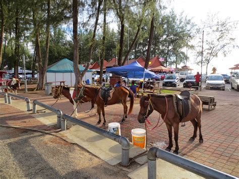 Pantai teluk kemang is close to a variety of hotels, with choices such as cozzi hotel and pearl villa hotel & resort. Pantai Teluk Kemang, Port Dickson | MediaHiburan