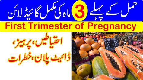 Early pregnancy tips in urdu. First Trimester Of Pregnancy In Urdu/Hindi | Hamal Ke Pehle Teen Mah | Pregnancy Tips - YouTube