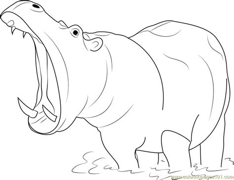 Free shipping on orders over $25.00. Hippopotamus Open Mouth Coloring Page - Free Hippopotamus ...