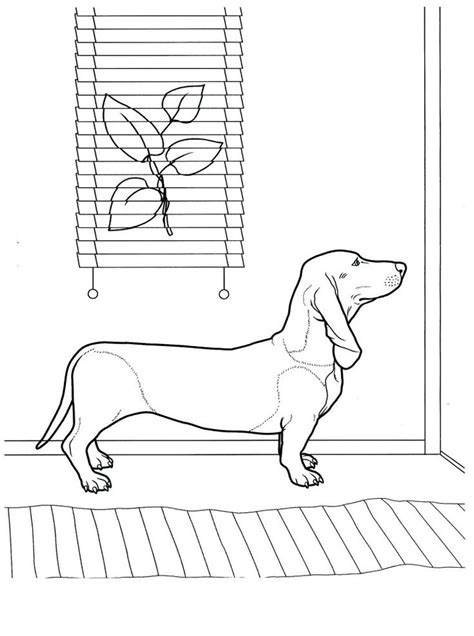 A wide selection of vintage and antique tools offered for sale including woodworking, mechanical and gardening tools! Dachshund Coloring Pages - Best Coloring Pages For Kids ...