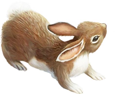 Lapin de pâques lapin lièvre dessin animé, lapin de pâques, mammifère, animaux png. Pâques : lapin png, dessin - Rabbit png : Easter - Conejo