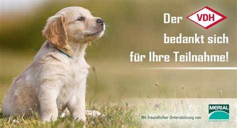 Maybe you would like to learn more about one of these? Umfrage: "Parasiten beim Hund" - Hunderunden