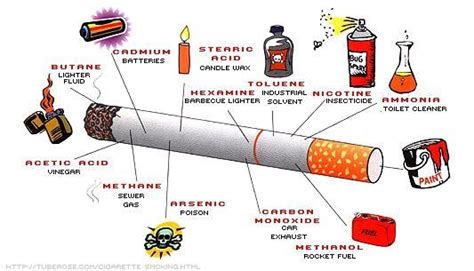 Salah satu tanaman yang bisa digunakan untuk membuat obat bius tradisional adalah kecubung. BAHAYA ROKOK: BAHAN PEMBUAT ROKOK