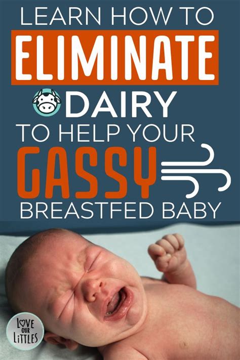 Your diet during breastfeeding must include generous amounts of low fat dairy products like milk, yogurt, etc. Dairy Free Breastfeeding Diet Tips and Dairy Free Meal ...