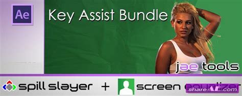 For now, you have a simple after effects 3d composition that still looks splendid! Key Assist Bundle v1.0 (Spill Slayer + Screen Equalizer ...