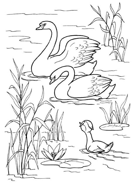 Jeu de caractères mignon princesse cygne d'objets. Coloriage cygne gratuit à imprimer et colorier