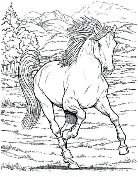 The term ' markings ' refers to the white areas on a horse, usually on the face and legs. Detailed Horse Coloring Pages at GetColorings.com | Free ...