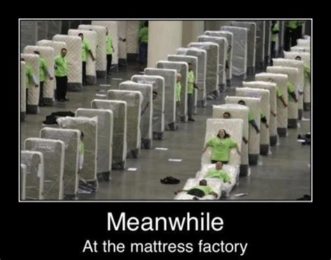 Know your meme uploaded by johnsmith20xx. Mattress Domino! | Funny captions, Funny pictures, Humor