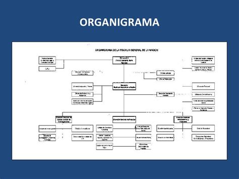 La gobernadora del atlántico realizó una visita de inspección a la obra, cuyo propósito es fortalecer el acceso a la justicia en esta zona del departamento. Estructura y operación de la Fiscalía General de Colombia.