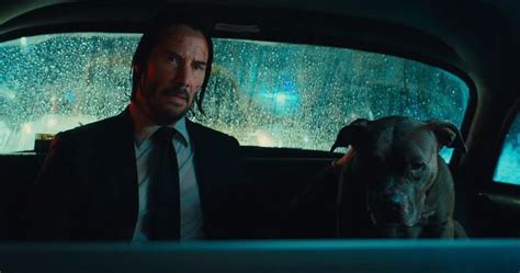 John wick is a fictional character and the titular protagonist of the john wick film series. Stirbt der Hund in 'John Wick 3'? Nein, aber er kommt ...