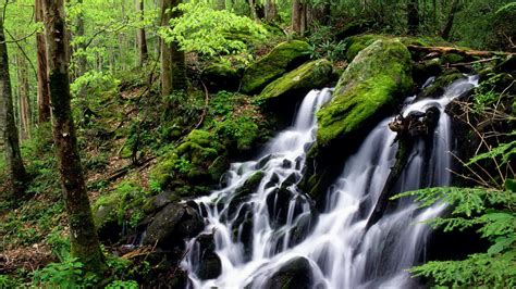 Ici vous trouverez des tonnes de papiers peints de qualit et magnifique pour votre ordinateur de bureau. Desktop Background: Fond D'ecran Anime Gratuit Nature