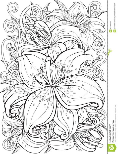 Download or print this amazing coloring page: Tiger lily stock vector. Illustration of graphic, color ...