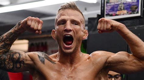 2 days ago · rebecca pappe reynoso better known as tj dillashaw's wife was born on december 20, 1984. UFC Brooklyn: TJ Dillashaw vs Henry Cejudo, preview | Fox ...