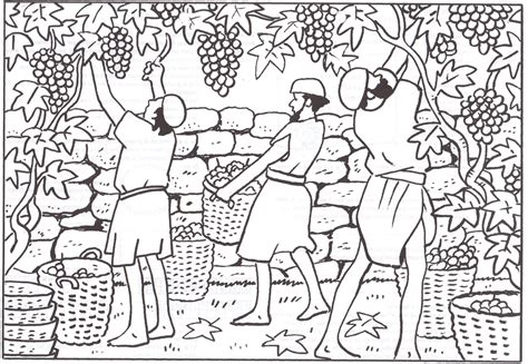 Grape vineyard coloring pages lovely grapes coloring page unique. De werkers in de wijngaard | Jong Protestant