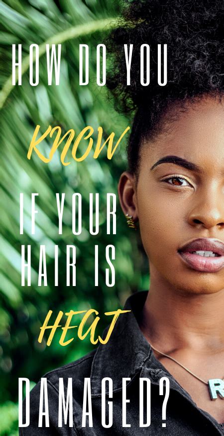 Check ingredient listings for bad ingredients in natural hair products and steer clear of them. Heat Damage on Natural Hair: Repair & Prevent ...