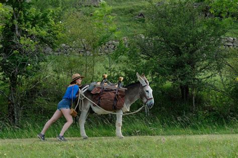 Robert louis stevenson (inspired by travels with a donkey in the cévennes), caroline vignal (screenplay). Antoinette dans les Cévennes | Transhumances