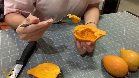 It is cultivated in other countries, such as brazil, taiwan, and vietnam for its fruit. Canistel/Egg Fruit Tasting: 1st Time Trying. - YouTube