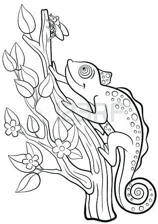 Find & download free graphic resources for camouflage. Camouflage Coloring Pages at GetColorings.com | Free ...