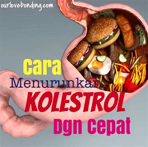 Meski nominalnya tidak besar, namun usaha makanan menawarkan untung besar. Ubat Untuk Kurangkan Kolestrol Bahaya