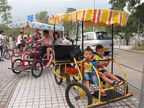 公共自行車（或稱共享單車，英語：bicycle sharing system，又作：public bicycle system，簡稱：pbs）是一種能讓一般大眾租赁自行车使用權的服務。在西方，公共自行車服務可以大致分為兩種類型，分別是「社區自行車計劃」和「智慧型自行車計劃」。 Warren Wong's Blog: 大尾篤~踏家庭式單車