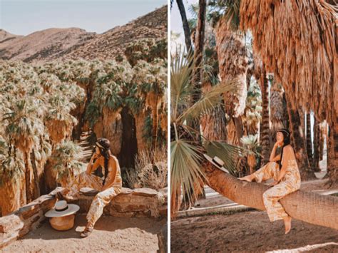 Get answers from palm springs koffi staff and past visitors. DISCOVER INSTAGRAM-WORTHY SPOTS IN PALM SPRINGS ...