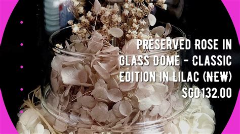 Pinasflower.com lucky 7 bamboo arrangement ₱ 2,637.50 : Preserved Rose in Glass Dome - Classic Edition in Lilac ...