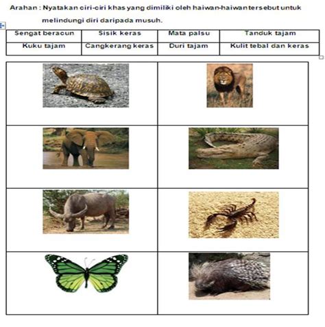 Lingkungan tidak selamanya aman bagi setiap makhluk hidup. Dunia Sains Untuk Kita Semua: UJI MINDA 3 : CARA HAIWAN ...