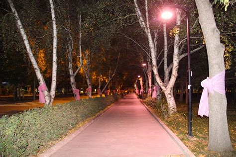 Atatürk üniversitesi okuamak için gerekli şartlar ,üniversite adresi ulaşım olanakları , üniversitede. Atatürk Üniversitesi meme kanserine dikkat çekmek için ...
