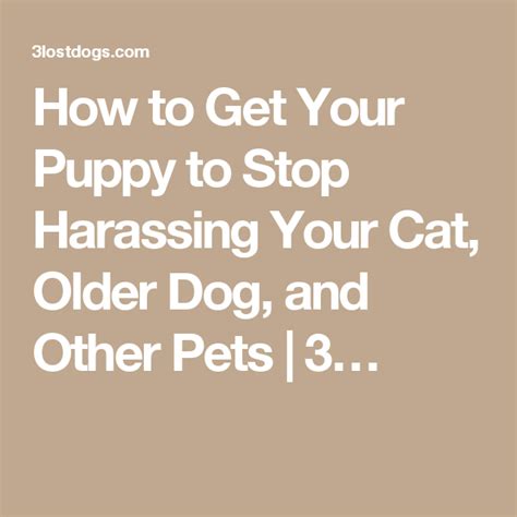 What are cat whiskers made of? How to Get Your Puppy to Stop Harassing Your Cat, Older ...