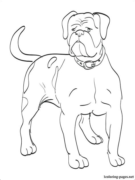 When the online coloring page has loaded, select a color and start clicking on the picture to color it in. English Bulldog Coloring Pages at GetColorings.com | Free ...