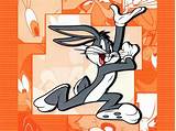 Have you ever wondered about the dichotomy between bunny and rabbit? Bugs Bunny Wallpapers - Wallpaper Cave