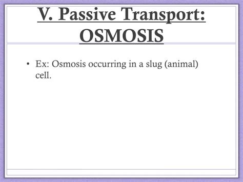 The word hypo means less, in this case there are less solute (salt) molecules outside in plant cells, the central vacuoles will fill and the plant becomes stiff and rigid, the cell in animal cells, the cell may be in danger of bursting, organelles called contractile vacuoles. PPT - Cellular Transport PowerPoint Presentation, free ...