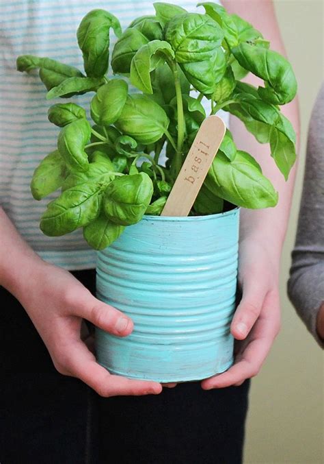 Herbs are great for beginner gardeners because they grow well in pots and thrive on neglect. How to Make Your Own Indoor Herb Garden | Indoor herb garden, Herbs indoors, Herb garden