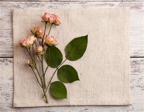 Kerajaan negeri mengumumkan tarikh 30 dan 31 julai ini adalah sebagai hari kelepasan am bagi seluruh negeri pahang. Enjoy Your Bouquet for Years with Flower Drying - Julia's ...