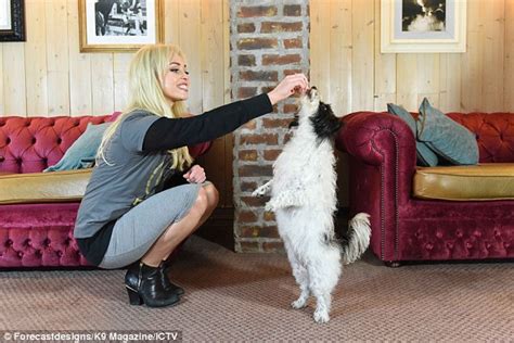 A handsome man came to visit. Hollyoaks' Jorgie Porter poses with her dog Lady for K9 ...