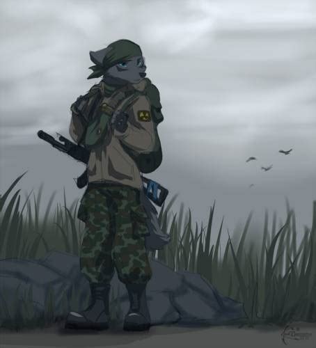 1332x850 wallpaper call of pripyat, clear sky, shadow of chernobyl, stalker, stalker, 2033, call of pripyat, online, 2018, metro, stalker 2, clear skies, stalker 2, сталкер2, with.t.and.l.to.e.r., gsc image. Furry Art - Фан-Арты - Сталкер - Фото альбомы - Stalker-St