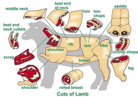 This week we take a look at lamb. foodsbasket: Meet Cutting Chart