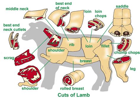 Lamb, the meat from the carcass of a young sheep, is a lean red meat with a mild, but distinctive flavor. foodsbasket: Meet Cutting Chart