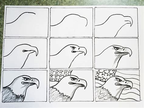 As soon as the circles are finished, you can join them up to create the right proportions of the body, neck and head of your animal. Found on Google from drawingsware.net | Eagle drawing ...