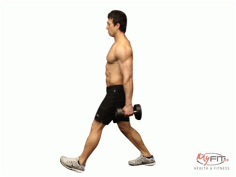 Maybe you would like to learn more about one of these? Walking Lunges Exercise | MyFit