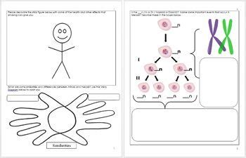 Meiosis worksheet answers winonarasheed from cell division and mitosis worksheet answer key , source:winonarasheed.com. DNA and Genetics Unit Homework | Genetics, Homework, Cell ...