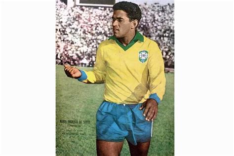 The word garrincha itself means wren. Ossada de Mané Garrincha segue desaparecida e familia cita ...