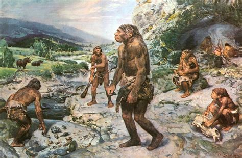 Einige tiere, die heute leben, haben ähnlichkeit mit tieren, die bereits in der steinzeit lebten. Bilderstrecke zu: Ausstellung zur Kindheit in der ...