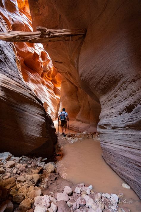 Buckskin gulch is the longest and deepest slot canyon in the southwest, and although not one of the prettiest, it is exceptional in regards to its variety of terrain. Cómo recorrer el BUCKSKIN GULCH en 1 día
