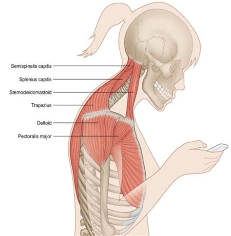 At the end of the article, you will find an exercise that you can do yourself and identify some problems. 6 Exercises to Reduce Stress and Strain in the Neck ...