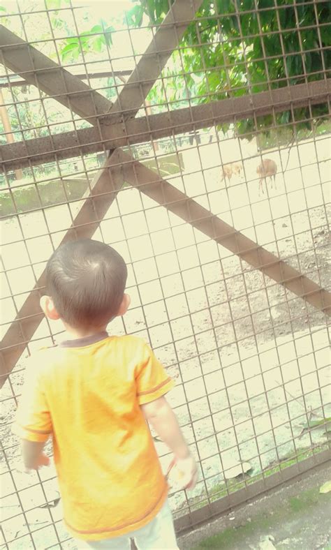 Zoo taiping is a beautiful zoo based in the natural setting of the environment. ~Shzie Love Our Baby~: ZOO TAIPING