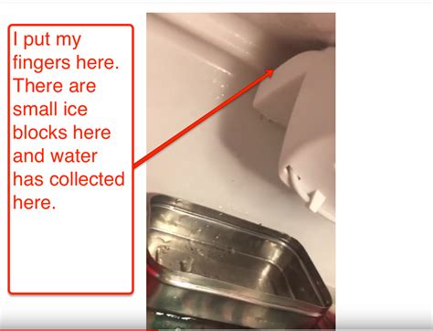 During the transportation of your samsung fridge, be extra careful with the water hose at the backside of the appliance. refrigerator - Water dripping from freezer into fridge top ...