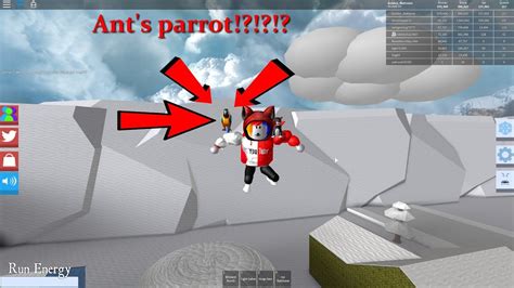 You can redeem codes by clicking the codes button at the top of your screen. Roblox Snow Shoveling Simulator - Ant's Parrot Pet Code ...