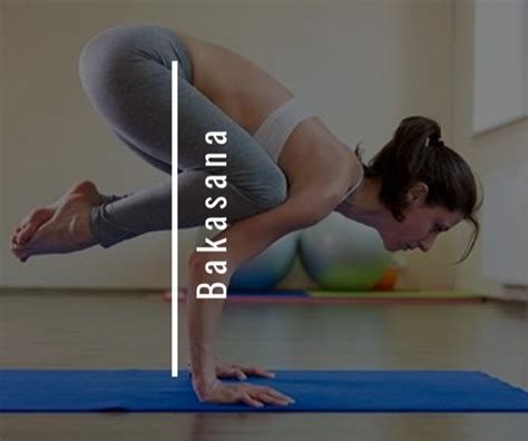 Bakasana sequence | jason crandell vinyasa yoga method. Bakasana Png & Free Bakasana.png Transparent Images ...